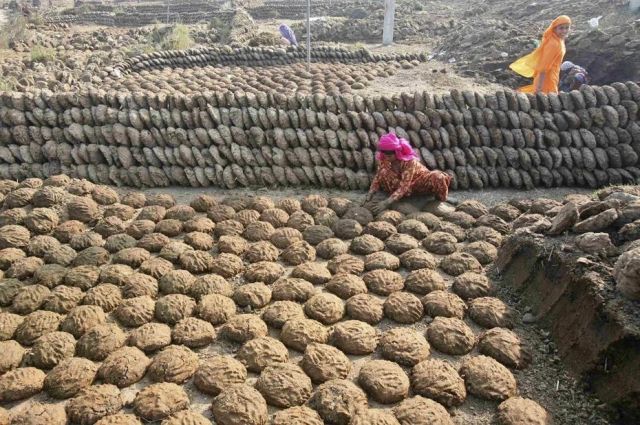 Hindistan’da LNG Krizi Tezek Kullanımını Artırdı