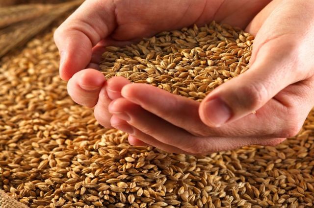 Hürmüz Gerilimi Gıda Tedarik Riskini Artırıyor