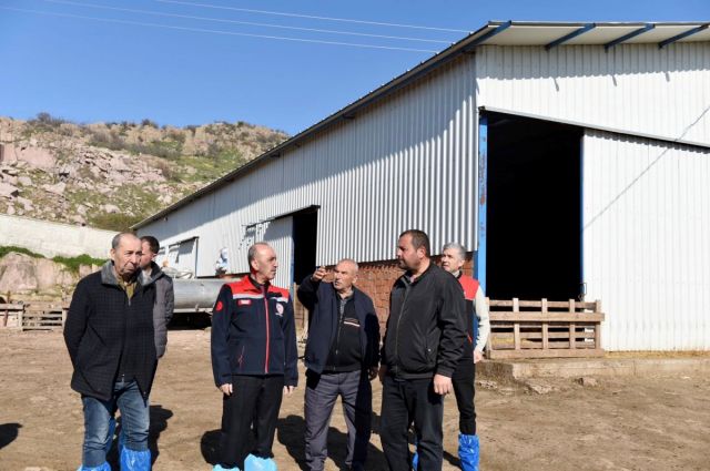 Karacabey Merinosu Yetiştiriciliğinde Önemli İnceleme!