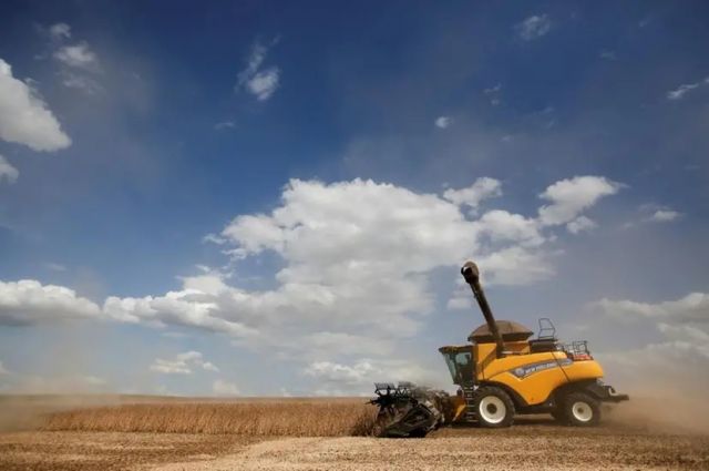 Küresel Soya İhracatı Yüzde 18 Artarak 22,6 Milyon Ton Oldu