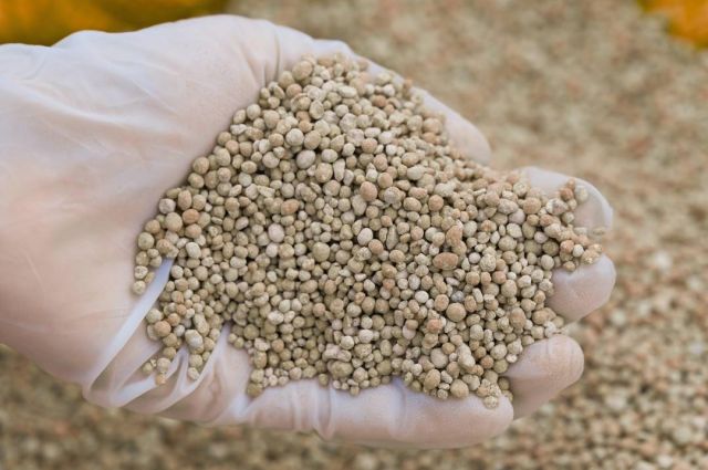 Macaristan AB’ye Gübre Tarifelerini Kaldırma Çağrısı Yaptı