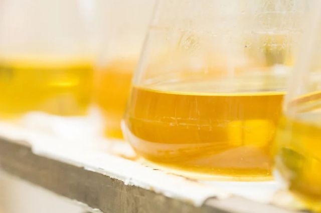 Rusya, balda sahteciliği tespit edecek standart geliştirdi