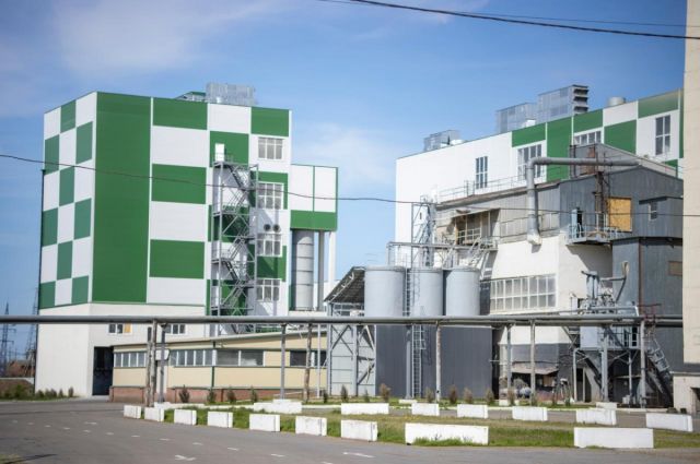 Rusya’da un üretim kapasitesi artıyor