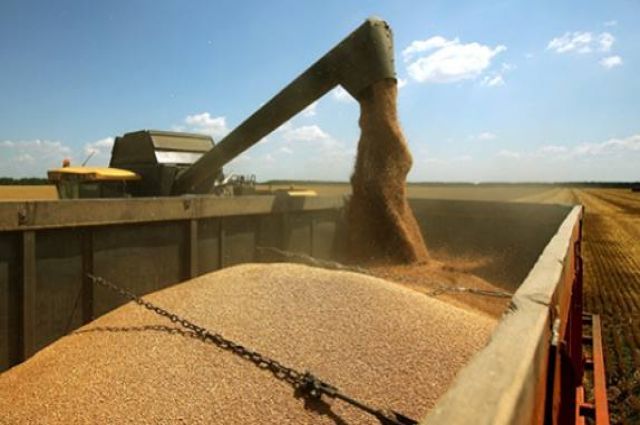 Son Dakika... Küresel buğday fiyatları yükseldi