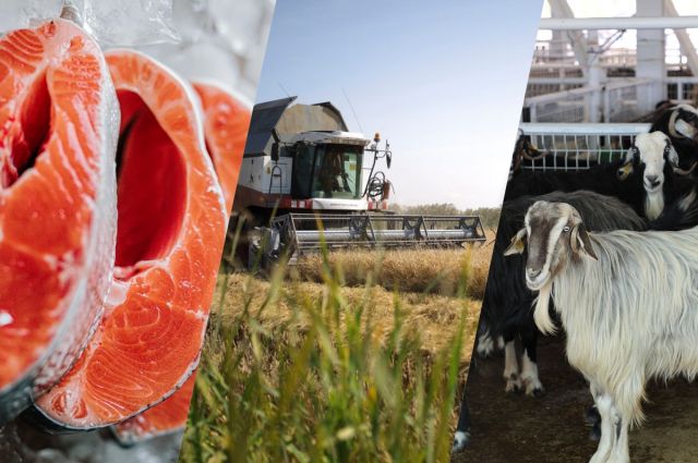 Tarım Bakanlığı: IPARD III Programı 2026 Çağrı Takvimi Açıklandı