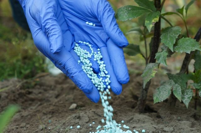 Ticaret Bakanlığı üre ithalatında gümrük vergisini sıfırladı