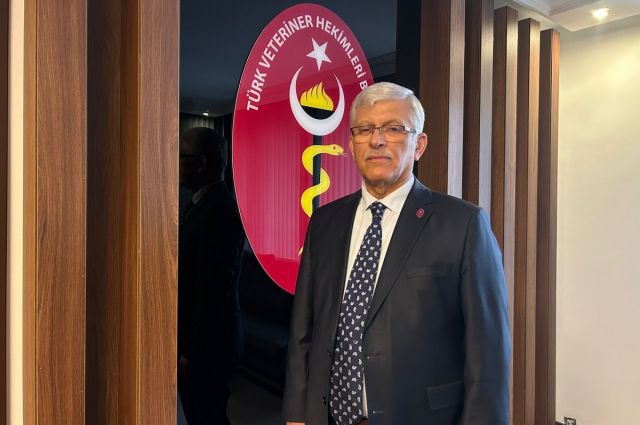 TVHB: Edremit’te köpek ölümleri için soruşturma çağrısı