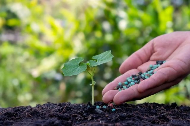 TZOB: Şubat’ta Gübre ve Yem Fiyatları Arttı