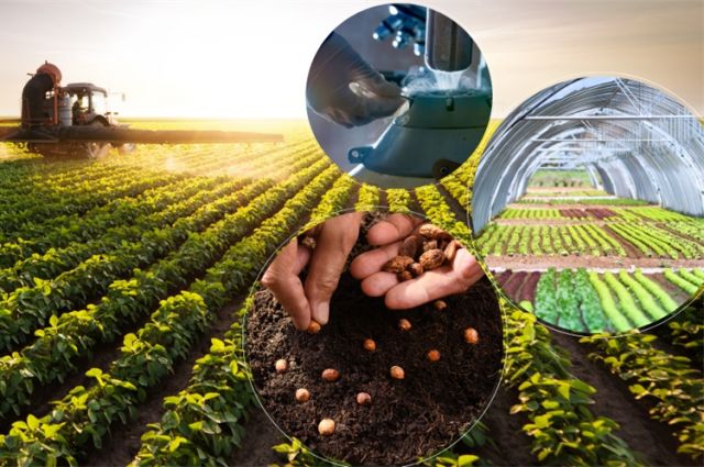 Yumaklı: 8,7 milyar TL tarımsal destek bugün yatıyor