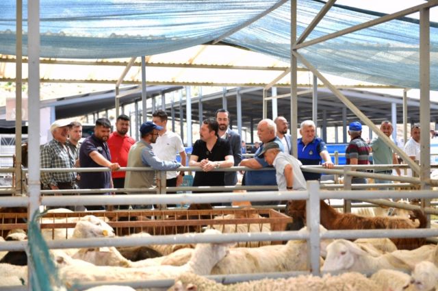 2026 Kurbanlık Fiyatları Listesi Netleşti