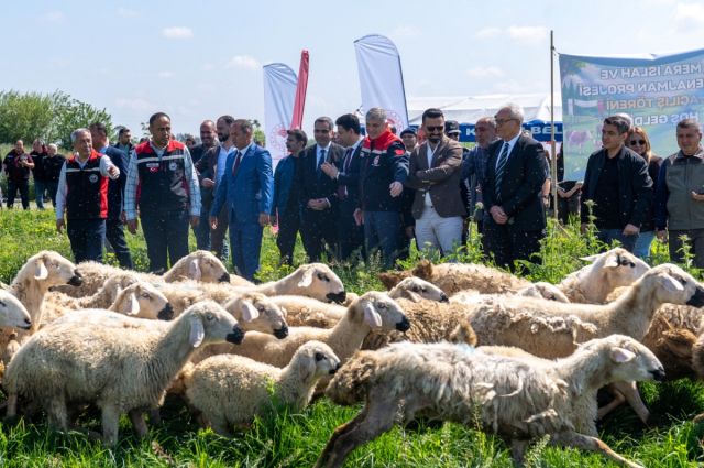 Adana’da 245 dekarlık mera ıslah edilerek üretime kazandırıldı