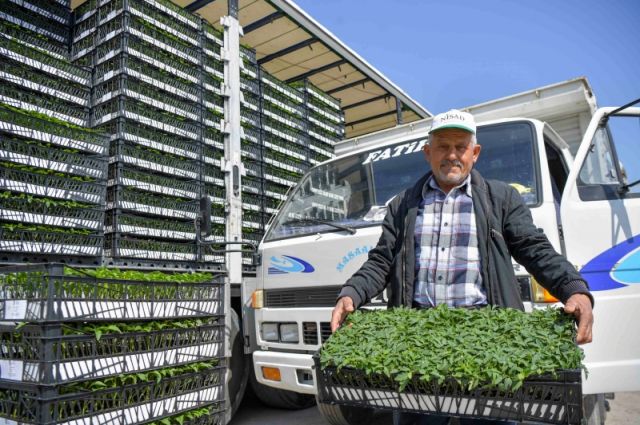 Ankara’da çiftçiye fide desteği sürüyor