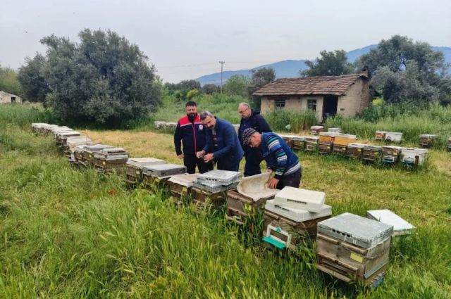 Aydın’da ana arı üretimi yapan işletmeler denetlendi