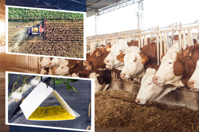 Bakan Yumaklı 350,9 milyon TL destek ödemesini açıkladı