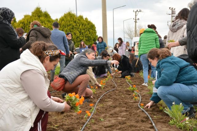 Balıkesir Büyükşehir’in Aromatik Bitki Eğitim Kursu Tamamlandı