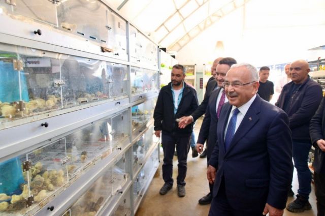 Başkan Güler: Fatsa Göçü Tersine Çeviren Üretim Merkezi Oldu