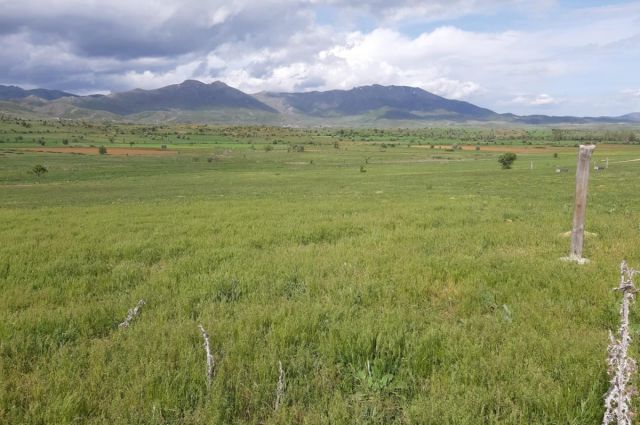 Besicilerin Dikkatine! Kurallara Uymayana Ağır Cezalar Var