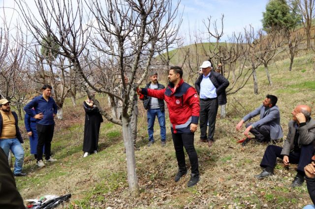 Bingöl İl Tarım Müdürlüğü Meyve Ağaçları İçin Kurs Düzenliyor