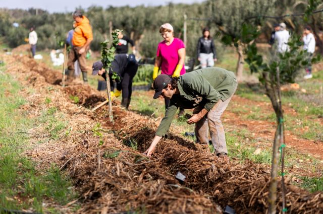 Buğday Derneği: MAPPING Projesi Akdeniz’de Başladı