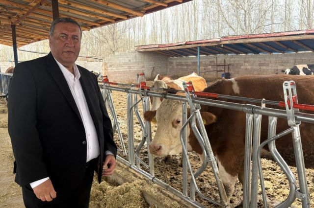CHP’li Gürer: Niğde’de süt üreticileri ahırlarını kapatıyor