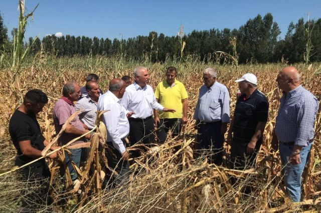 CHP’li Kadim Durmaz: Mısır ithalatı çiftçiyi zor durumda bırakır