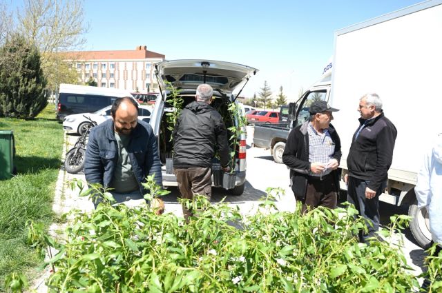Çiftçiye Yüzde 50 Hibeli Fidan Desteği
