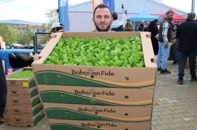 Çiftçiye Yüzde 75 Hibeli Sebze Fidesi Desteği Başlıyor