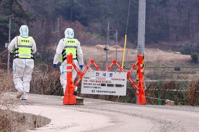 Çin’de İlk Kez SAT1 Tipi Şap Hastalığı Tespit Edildi