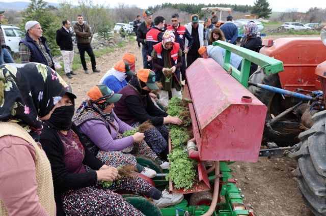 Dinar’da Kekik Yetiştiriciliği Projesi İçin Tarla Günü Düzenlendi