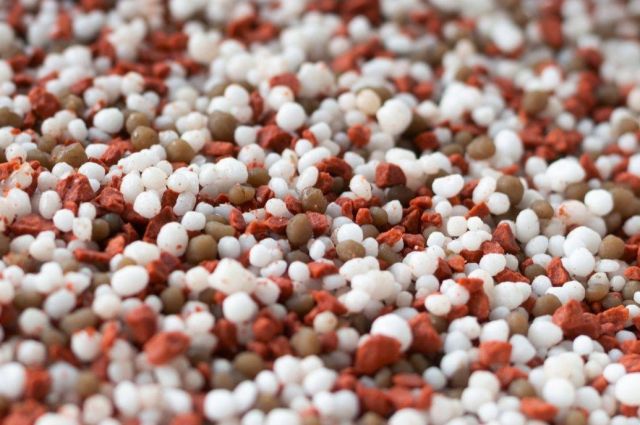 Dünya Bankası gübre fiyatlarında %30 artış bekliyor