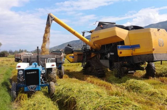 Ediz Ün: Pirinç Üretimi Durağan, İthalat 5 Kat Arttı