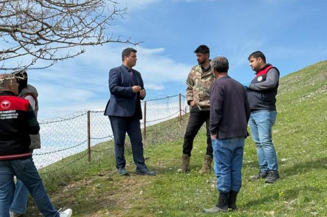 Elazığ Sivrice’de Meraya Yıldırım Düştü: 4 Hayvan Telef Oldu