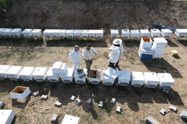 Elazığ’da Arıcılıkta İlkbahar Bakım Eğitimi Verildi