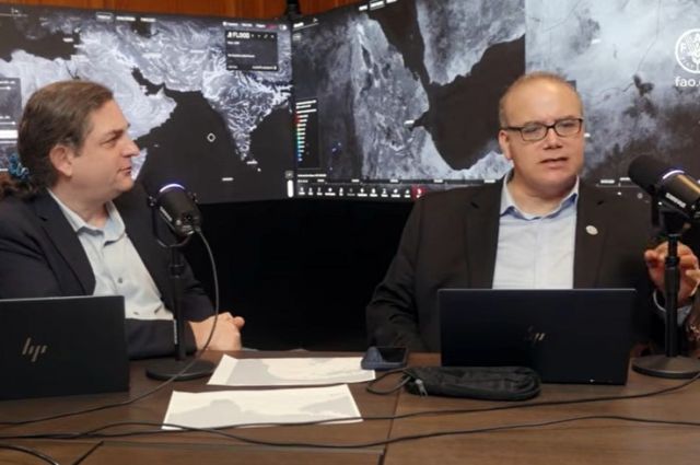 FAO: Hürmüz Boğazı'ndaki Aksama Küresel Gıda Krizini Tetikleyebilir