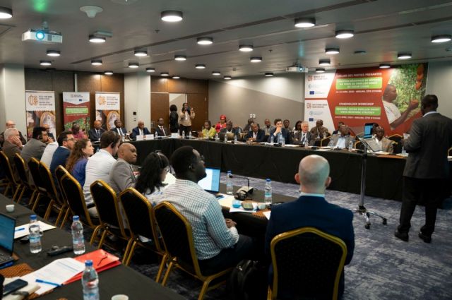 Fildişi ve Gana kakao hastalığına karşı birleşti