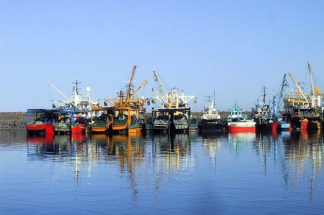 Giresun İl Tarım Duyurdu: Denizlerde Av Yasağı 15 Nisan’da Başlıyor