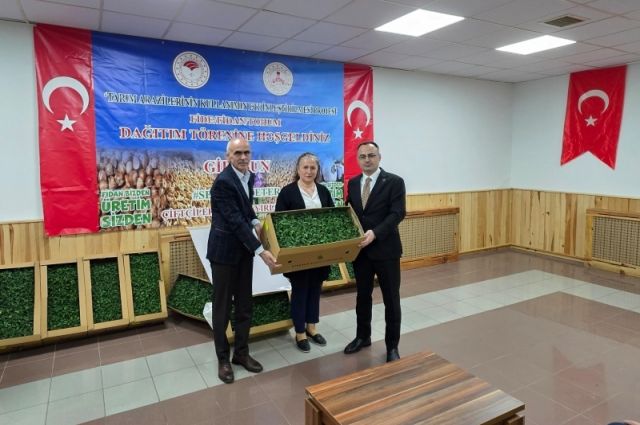 Giresun’da %75 hibeli domates fidesi dağıtımı yapıldı