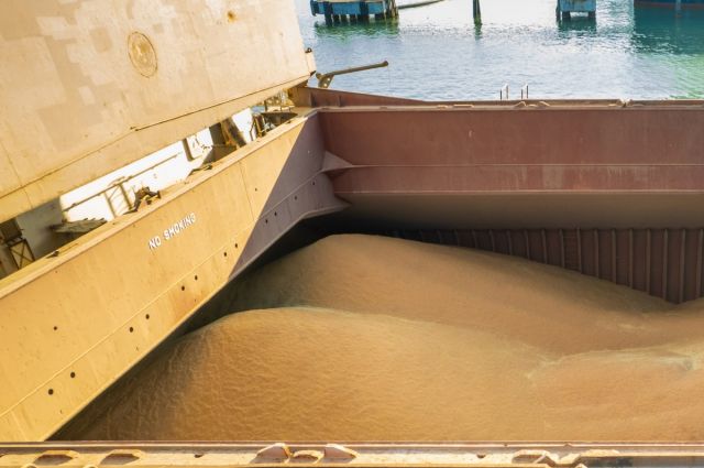 Hindistan hükümeti buğday ihracat kotasını 5 milyon tona çıkardı