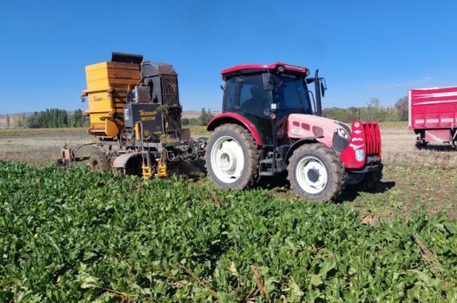 İsa Gök: 1 Mayıs emeğin değerini hatırlatıyor