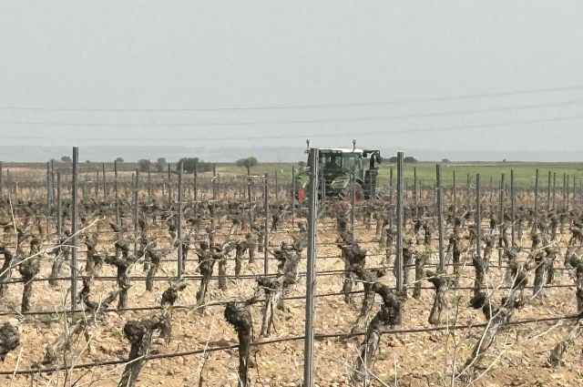 İspanya’da şarap üretimi ve tüketimi gerileme gösterdi