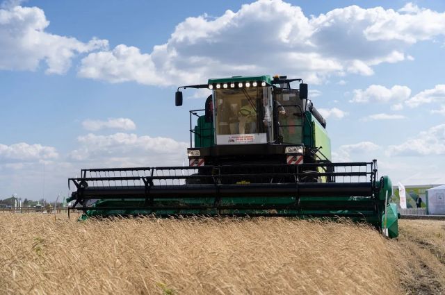 Küresel Buğday Arzı 1,1 Milyar Tona Çıktı