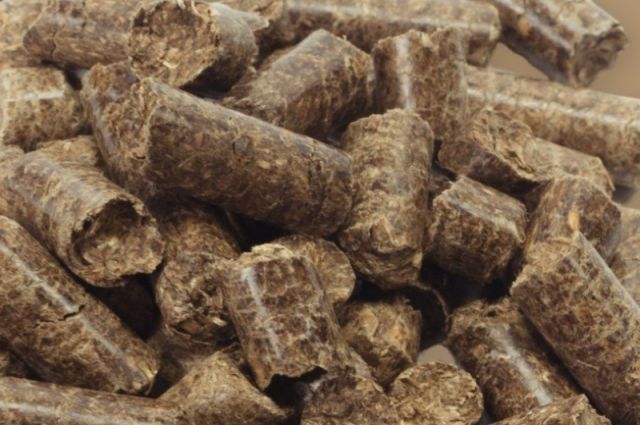 Küresel yem üretimi 1,44 milyar tona çıktı