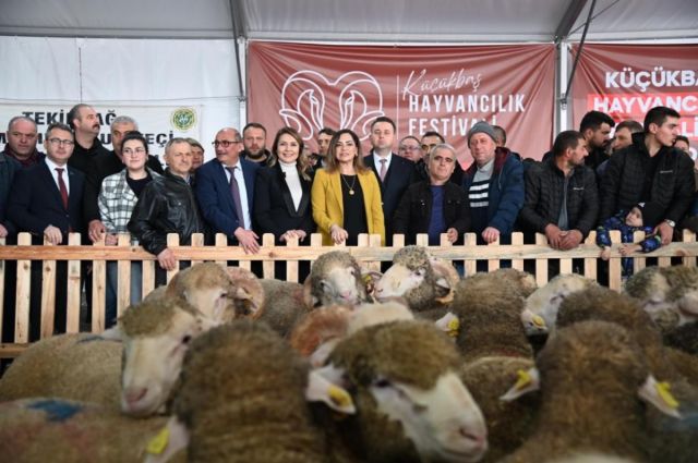 Malkara’da hayvancılık festivali başladı