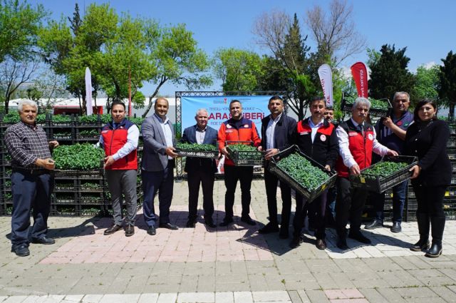 Maraş Biberi Üretimine Dev Destek: 650 Bin Fide Ücretsiz Verildi