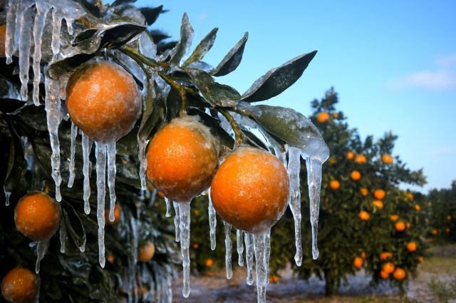 Meteoroloji: Kuvvetli yağış ve zirai don riski var