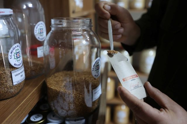 Muğla’nın Ata Tohumları Türkiye’nin 81 İline Umut Oldu