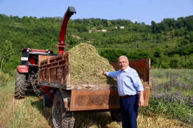 Ordu BB: 34 bin dekar atıl arazi tarıma kazandırıldı