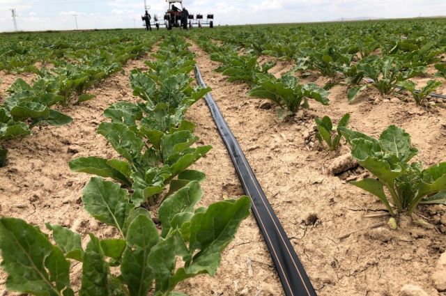 Parmaksız: Ulusal Su Planı kritik bir adım