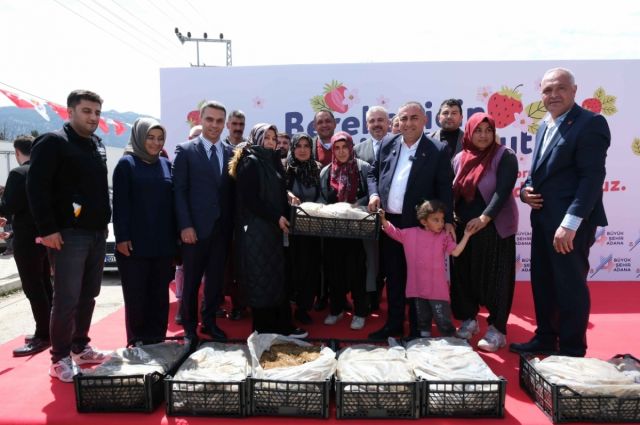 Pozantı’da çilek üretimi destekle büyüyor