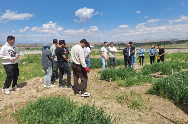 Prof. Dr. Yaşar Karadağ Tahıl Deneme Alanlarını İnceledi
